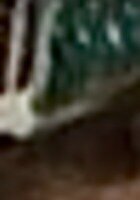 San Marcos, TX SAT prep tutor named Lillian