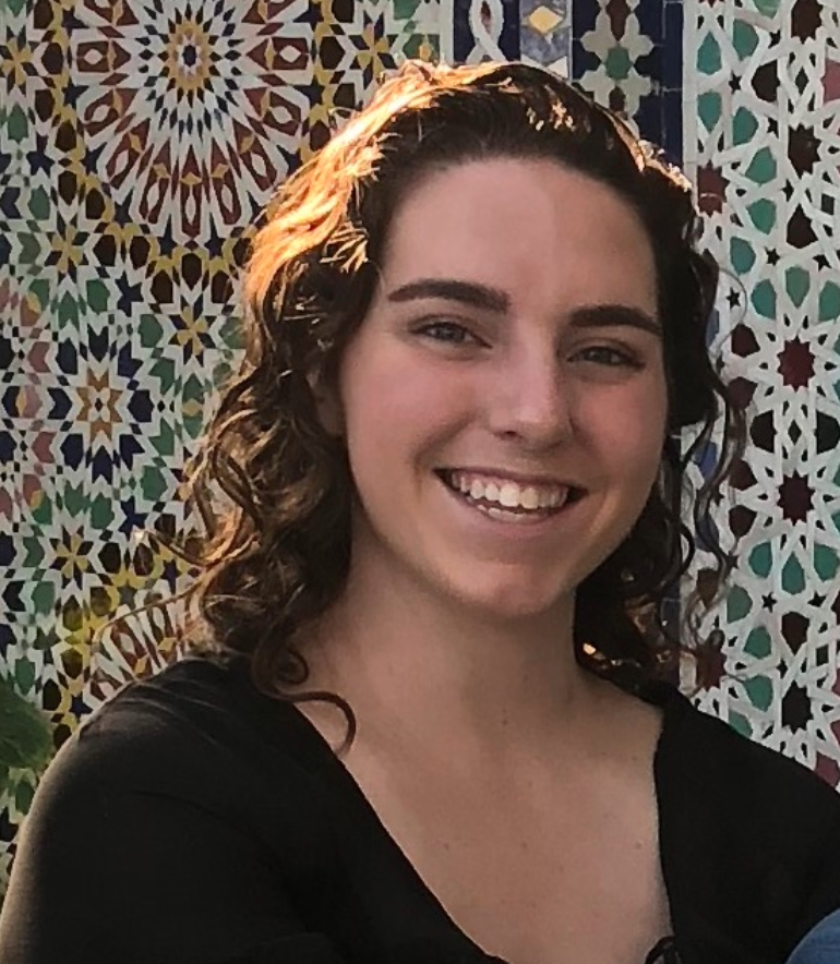 Westmont, IL Spanish 2 tutor named Sydney Westmont, IL Spanish 2 tutor named Sydney