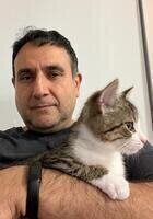 Online Algebra 2 tutor named Iman