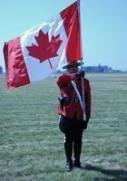 Online Criminology tutor named Cyril