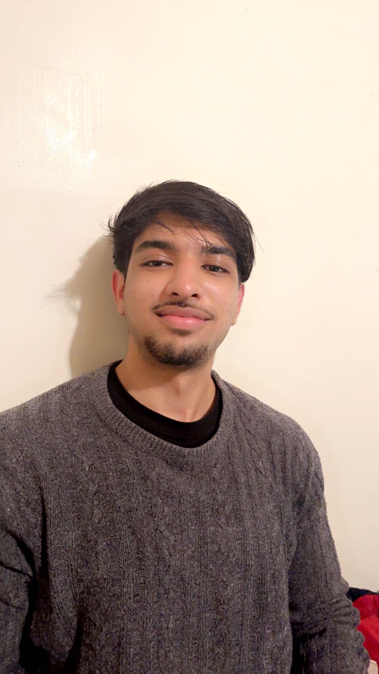 Online Elementary School Writing tutor named Aneeb