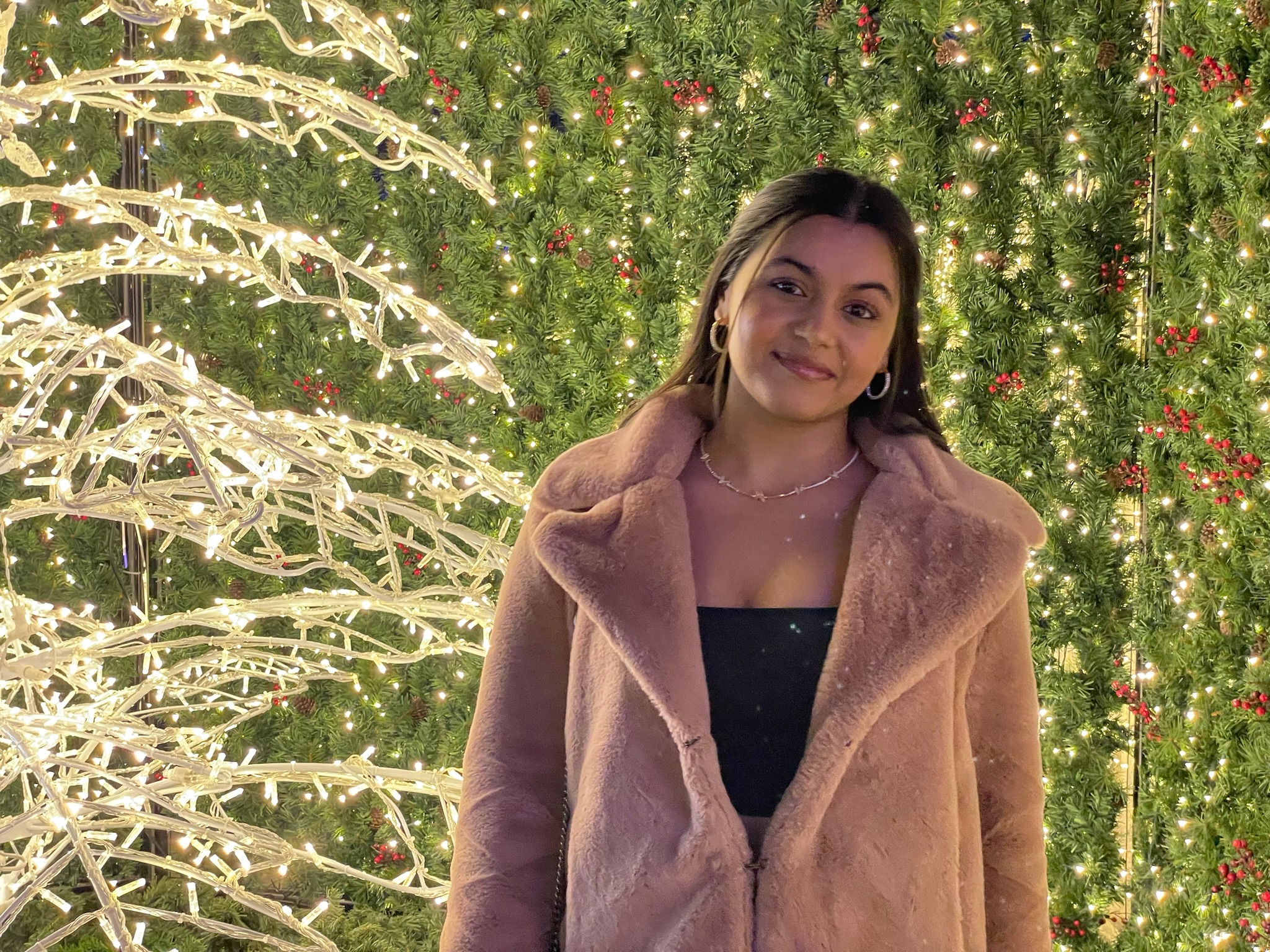 A photo of Anureet, a tutor from San Jose State University