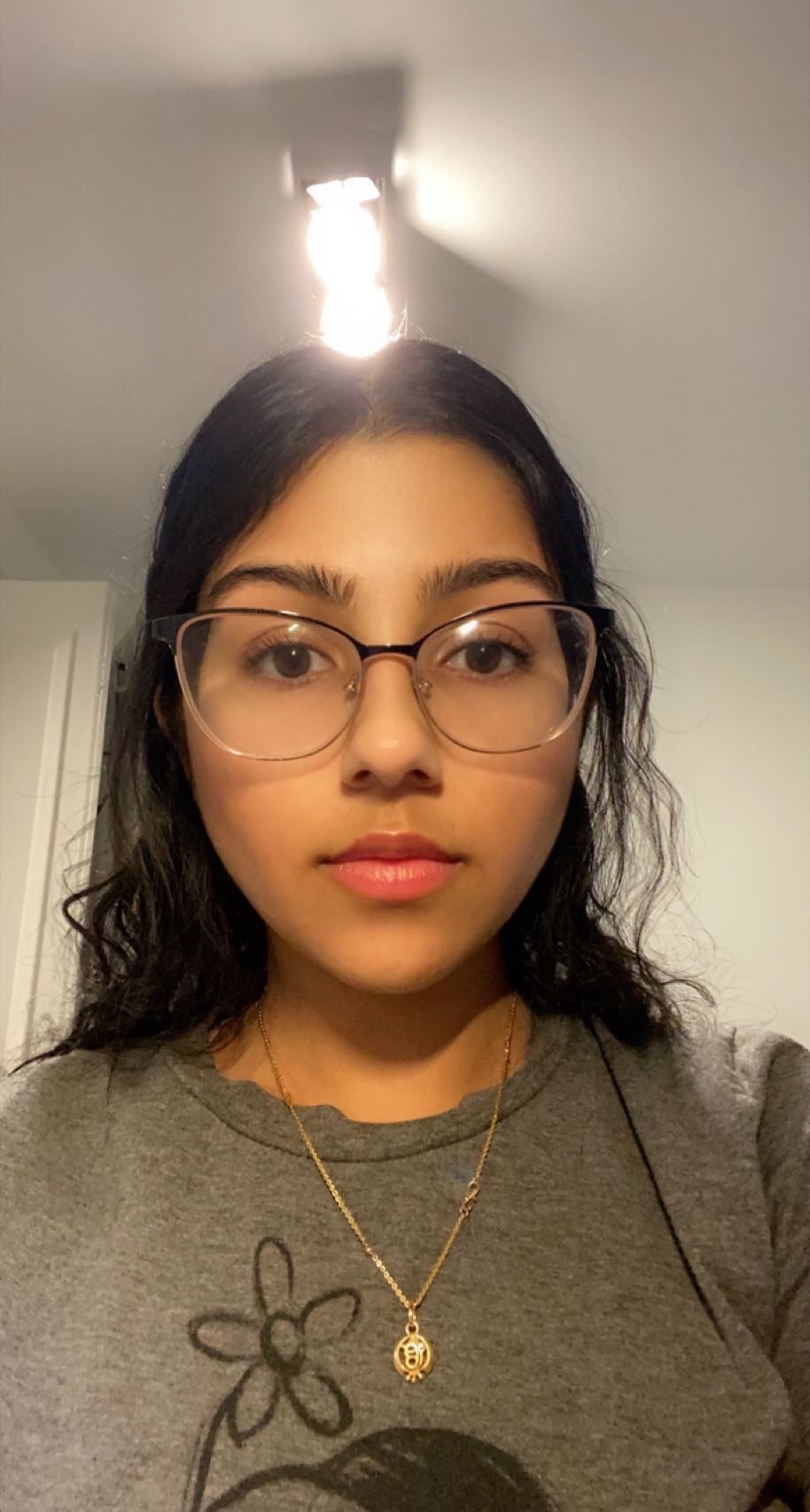 Online High School English tutor named Ikjot