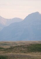 Online Arabic tutor named Hani