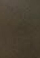 Online Accounting tutor named H5DZ3K6H7S-tutorOneTrust