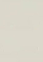 Online AP US History tutor named Anirudh