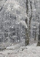 Online Process Design tutor named Kelly